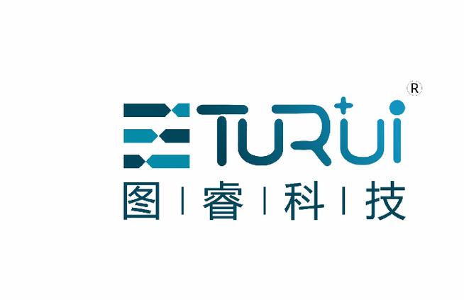 技术服务的多维视角 从信息技术咨询到系统工程的综合解析
